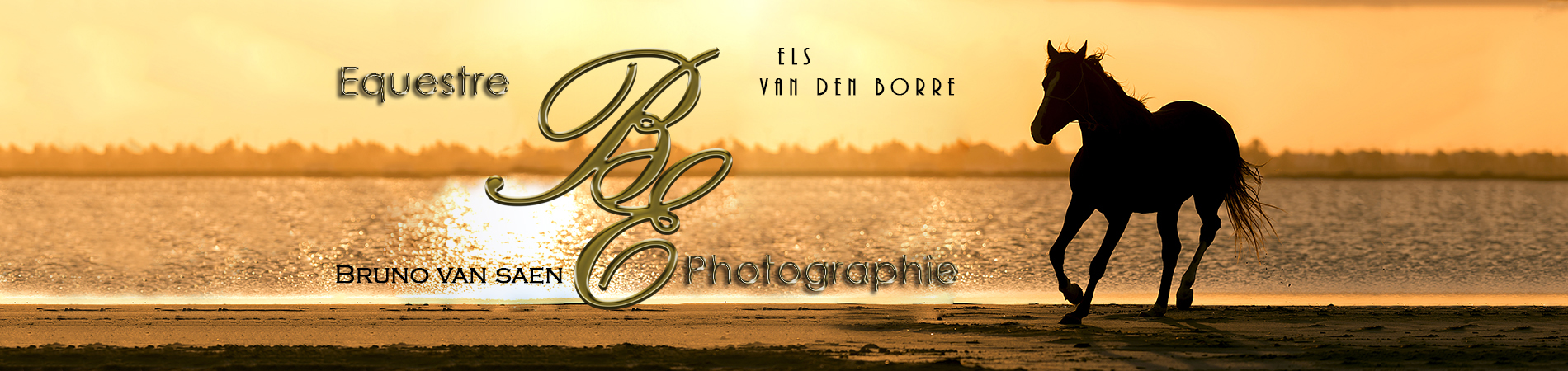 B&E horsephotography