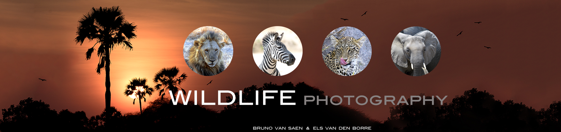 B&E wildlifephotography