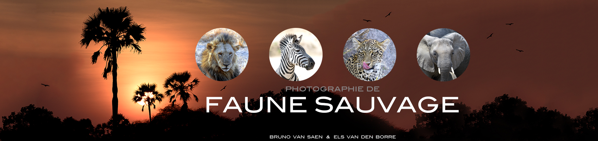 B&E wildlifephotography